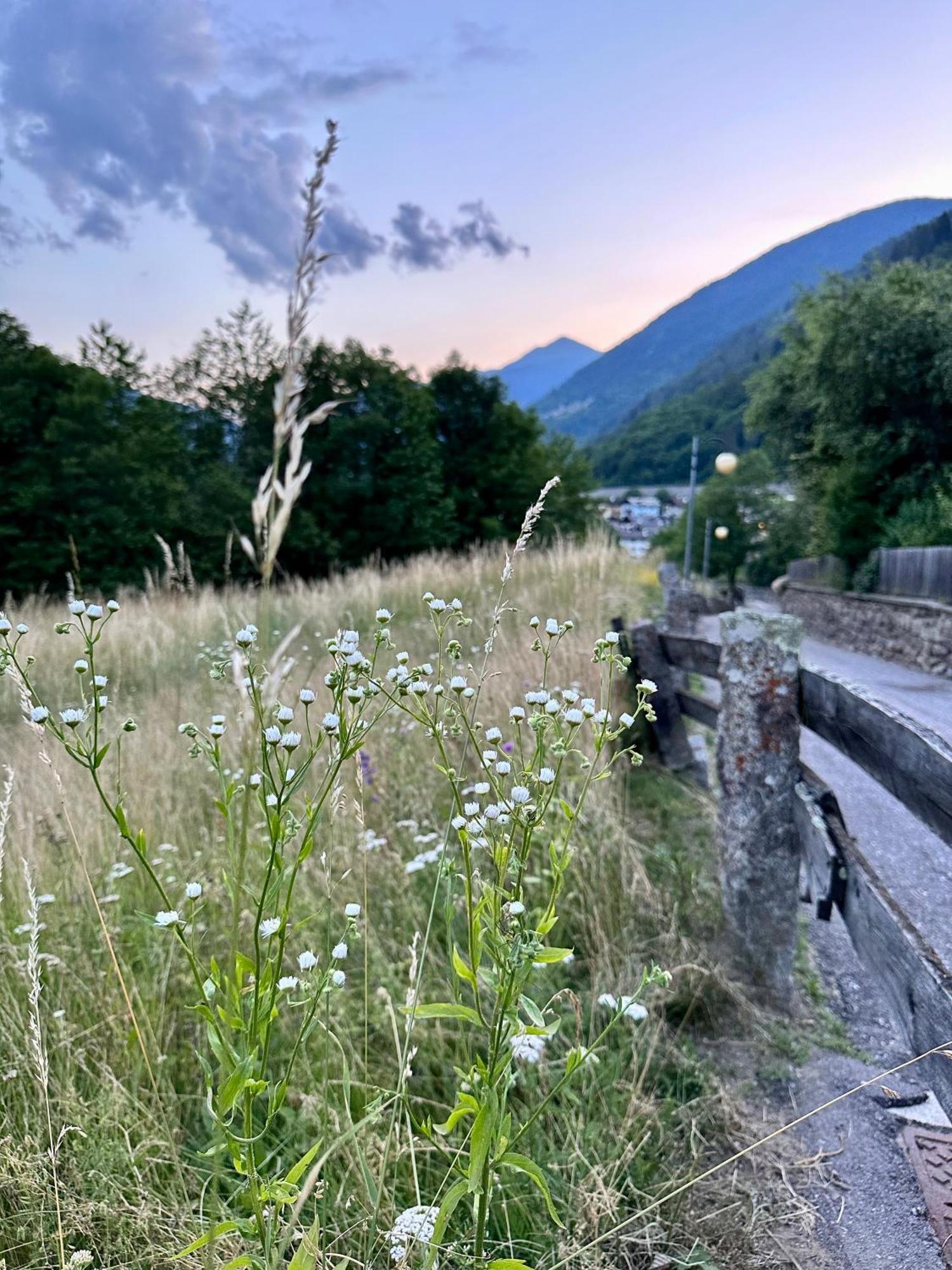 Si Mezzana * Mezzana (Trentino Alto Adige)